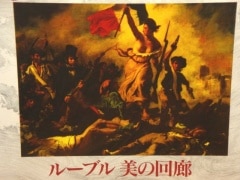 NHK 豪華永久保存版 ルーブル 美の回廊 LD レーザーディスク 全7巻