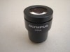 OLYMPUS オリンパス 顕微鏡 接眼レンズ GSWH20X/12.5 1|顕微鏡|┗双眼鏡・望遠鏡