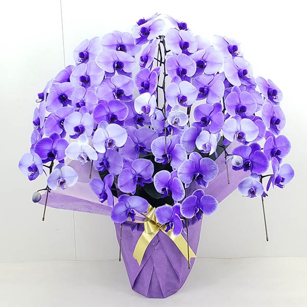 バラとピンク胡蝶蘭の豪華エレガント特大リース♪♪☆* バラとピンク胡蝶蘭の豪華エレガント特大リース♪♪☆*