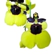 ڲ֤ʤ ᥶ ȥѥ Gom (Onc.)Little Panda ۼ 2.5ȭ 10cm ֥(BS)