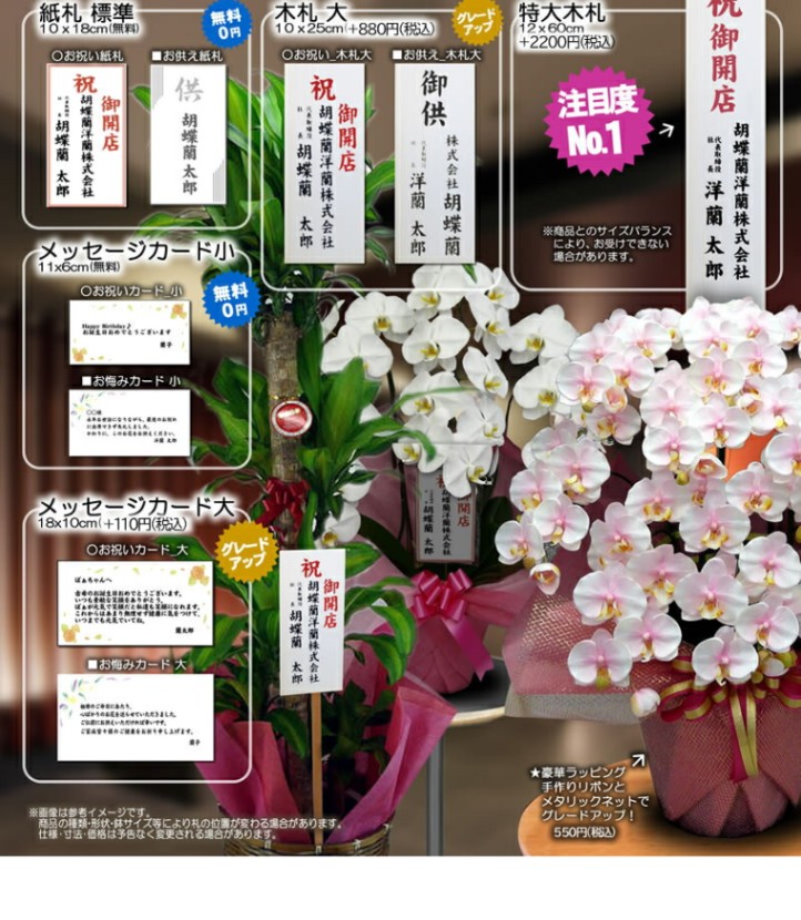 テーブル シンビジューム アーチ ピンク 5本立ち | 【ギフト