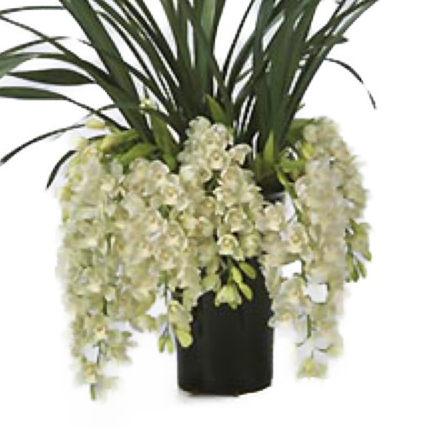 ӥ塼ࡡ饸ƥ㥹ɡǡΩڥեбʡ̵