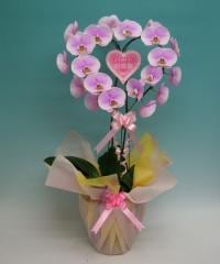 �ϡ��ȸ�ĳ�������ء�������ԥ󥯡������ءڥ��ե��б����ʡ�����̵����