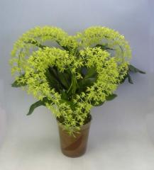 �Ʋֻ������ɤ�������ޥȥե���ࡡ������ץ��ࡡ�ҥҥޥ̡����֥�ϡ��Ȼ�Ω�ơڥ��ե��б����ʡ�����̵����