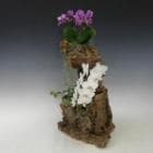 ���륯������ ���ɤθ�ĳ�����ӥӥ���2F����1F���إǥ顡����󥸥��ڥ��ե��б����ʡ�����̵����