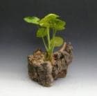 륯ȡ󥴥˥塼ڥեбʡ̵