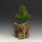 륯ȡơ֥䥷ڥեбʡ̵