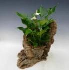 륯ȡ󥹥ꥦࡡڥեбʡ̵