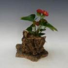 륯ȡ󥹥ꥦࡡ֡ڥեбʡ̵