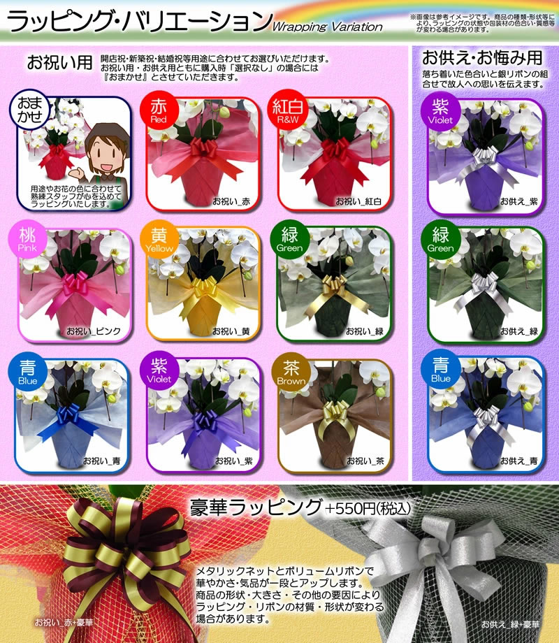 ��ĳ�� ���� �ߥ�󥸥����쥬�� �֥롽���꡼�� ���� 5��Ω��