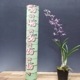 �ڲ֤ʤ����� �ǥ�ɥ��ӥ塼�� �֥롼�ȥ��󥯥� �ƥ������ Den.Blue Twinkle ��Ikeya�� ���ۼ� 3��ȭ 15cm ���֥�����(BS)