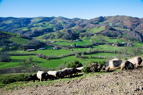 ピエール･オテイザさんのバイヨンヌ産生ハム（スライス）約100g　冷蔵