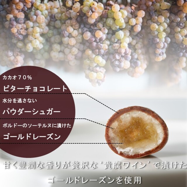 【絶版・レア希少】 和声法　イヴォンヌ•デポルト、アラン•ヴェルノー ネプチュニアン オートマティックに新色『ボルドー』が登場12月1日(木