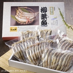 ʻʬ˥᥹50
