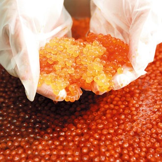 ����������ҡ�80g�ӡ�