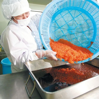 ����������ҡ�80g�ӡ�