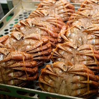 北海道産訳あり毛蟹　5尾 活き毛ガニ 北海道産 カニ 訳あり 5kg 11〜13尾 毛蟹 毛がに 姿