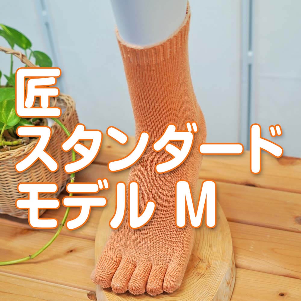 匠(たくみ)スタンダード ゆったり5本指 表:綿+裏:絹 天然素材 Mサイズ