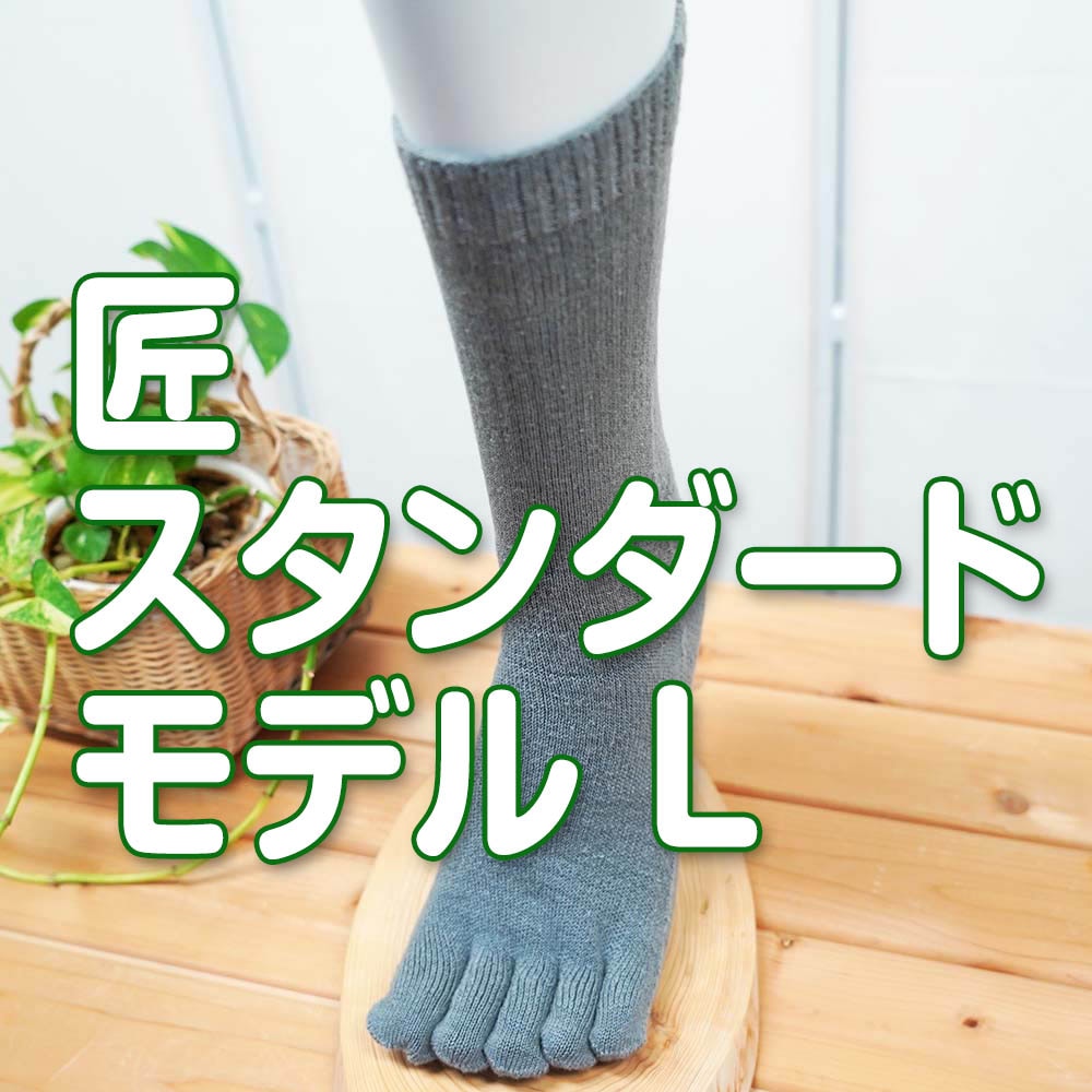 匠(たくみ)スタンダード ゆったり5本指 表:綿+裏:絹 天然素材 Lサイズ