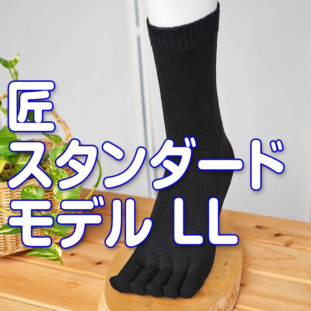 匠(たくみ)スタンダード ゆったり5本指 表:綿+裏:絹 天然素材 LLサイズ