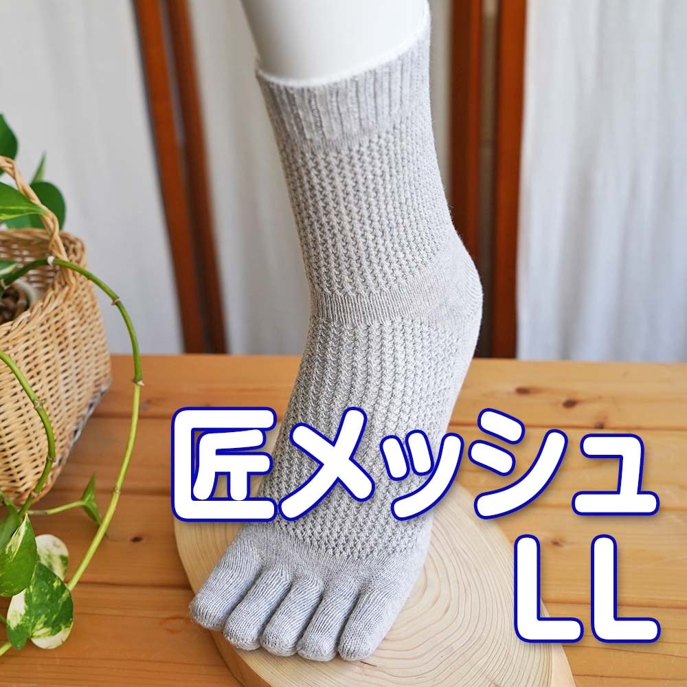 匠(たくみ)薄手メッシュ ゆったり5本指 表:綿+裏:絹 天然素材 LLサイズ