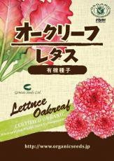 NLS オークリーフレタス 約330粒