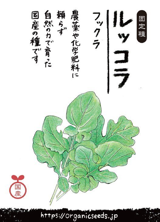 NLS 国産ルッコラ(フックラ) 400粒