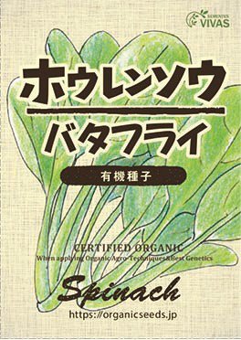 NLS ホウレンソウ(バタフライ)(VIVAS) 約50粒