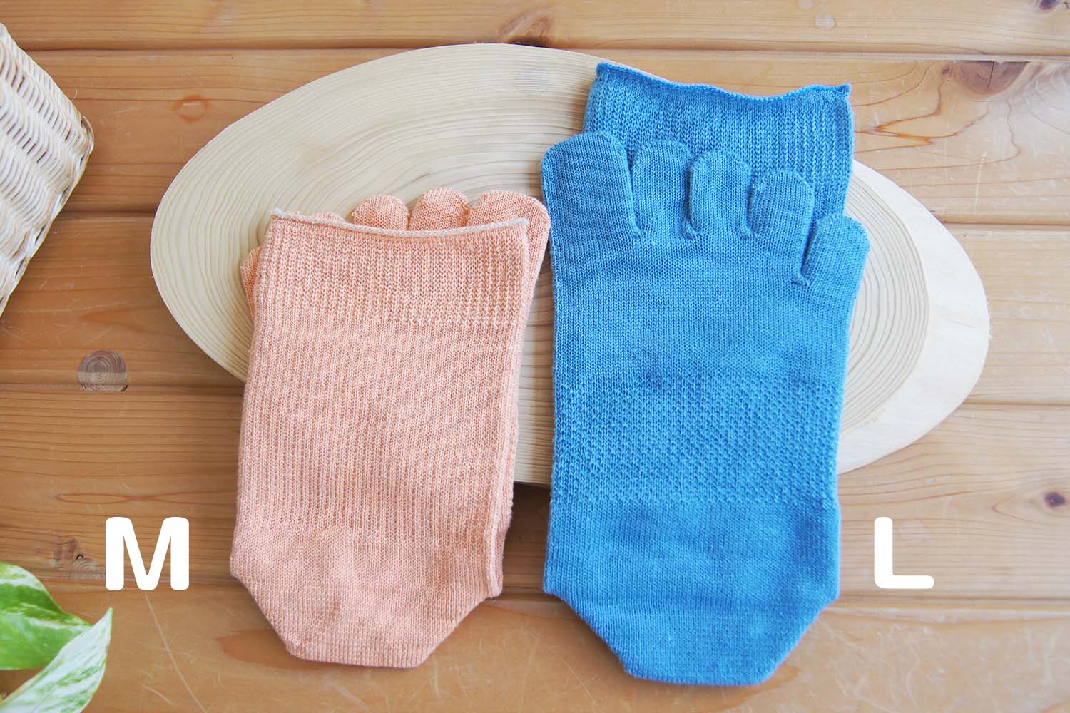 快適5本指 絹+綿 天然素材 絹木綿 優しい履き口 Mサイズ