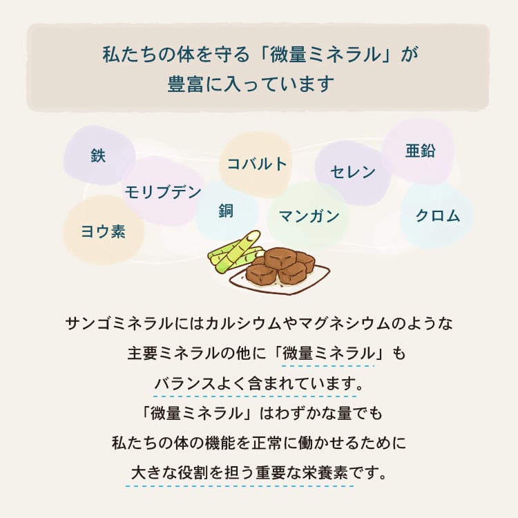 ちょっちゅね ピーナッツ サンゴのカルシウム入り