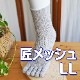 匠（たくみ）薄手メッシュ ゆったり5本指 表：綿+裏：絹 天然素材 LLサイズ