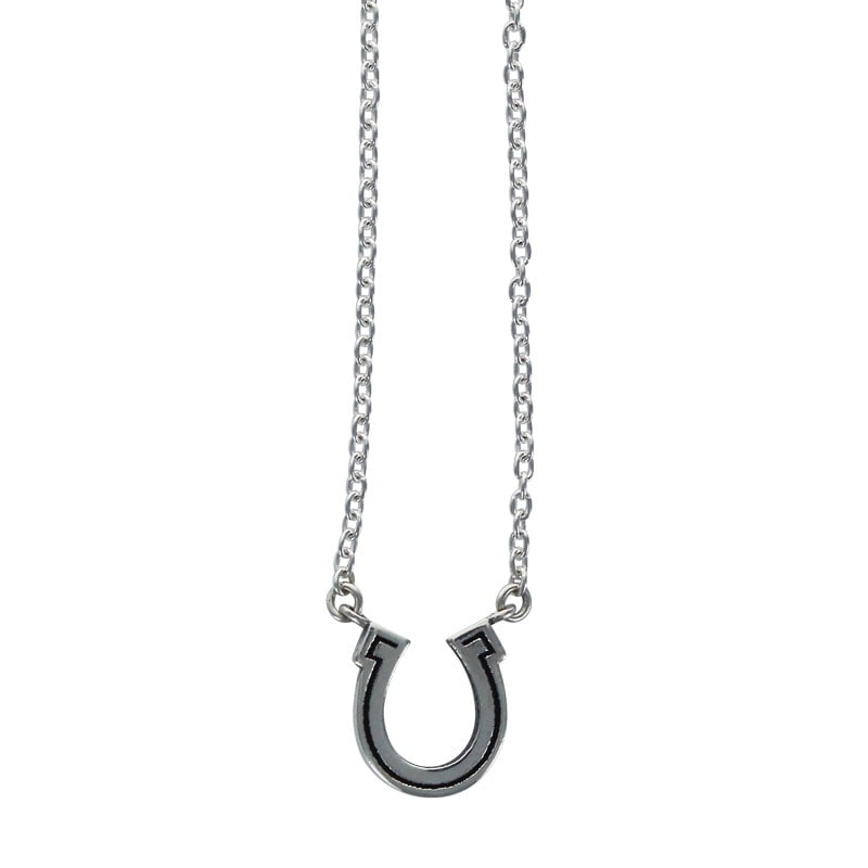 SERENDIPITY HORSE SHOE WITH CHAIN