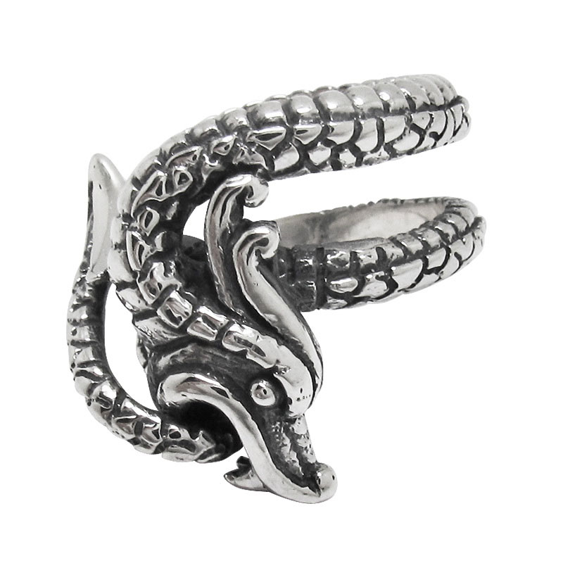 DRAGON BITING TAIL