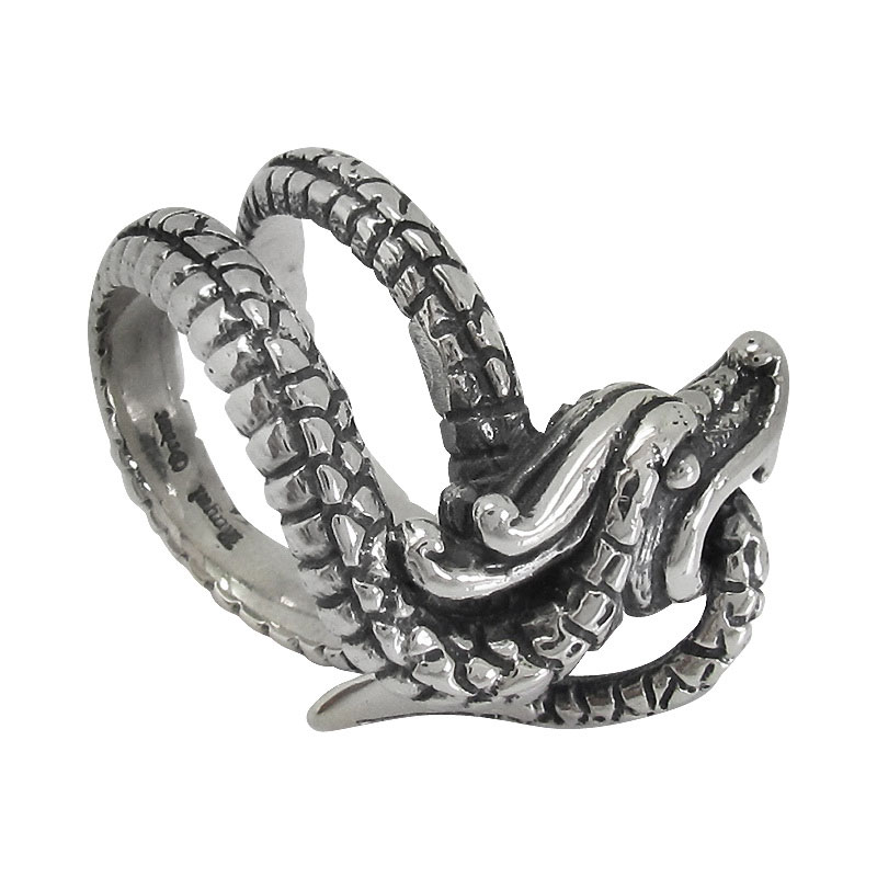 DRAGON BITING TAIL
