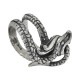 DRAGON BITING TAIL