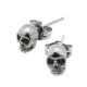 ROCKN ROYAL SKULL STUDS (���ñ��)