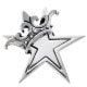 STAR WITH CROWN