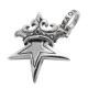 SMALL SOLID STAR WITH CROWN IN CZ