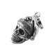 CHRISTMAS SKULL