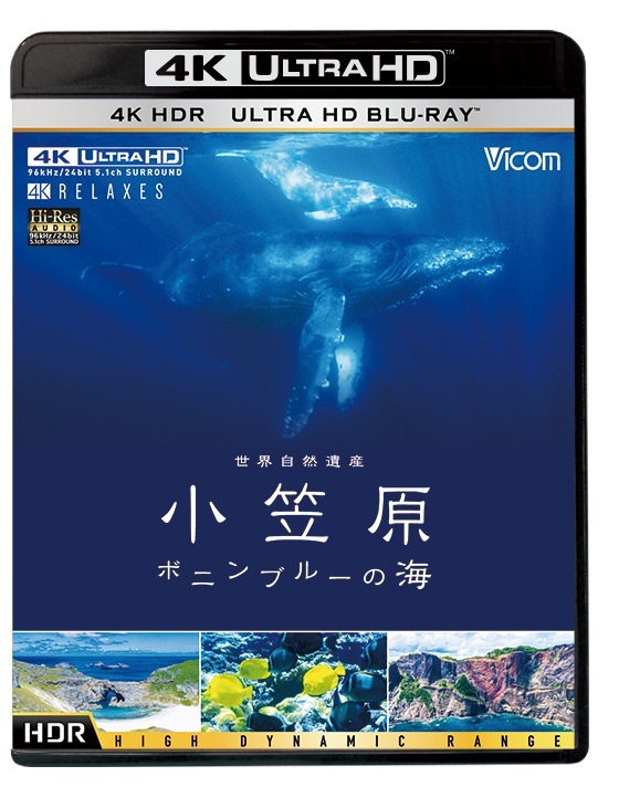 通販 送料無料  世界自然遺産 HD ～ボニンブルーの海～【4K・HDR】Ultra 小笠原 その他