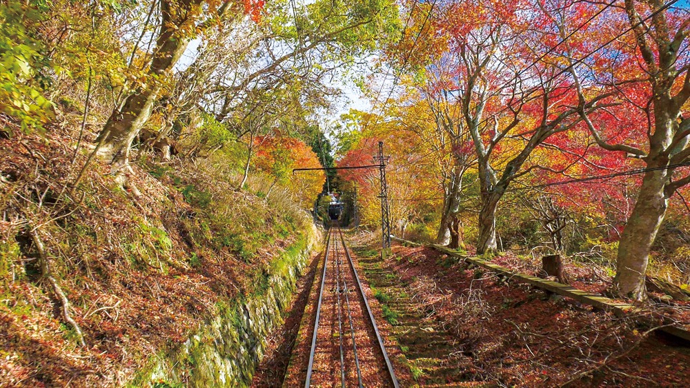 京福電気鉄道 全線往復 嵐電 嵐山本線・北野線&叡山ケーブル・叡山ロープウェイ [DVD] 京福電気鉄道 全線往復 嵐電 嵐山本線・北野線＆叡山ケーブル