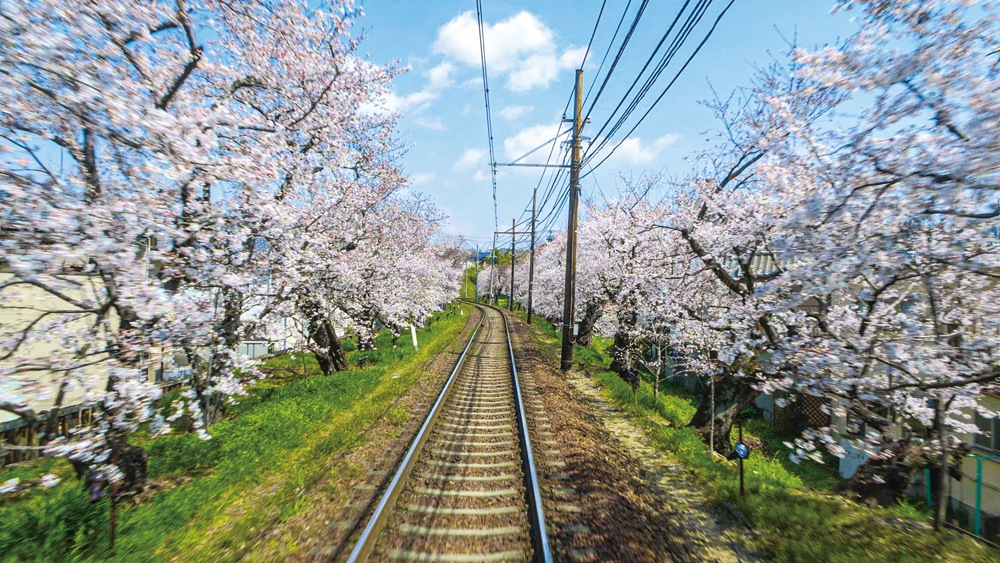 京福電気鉄道 全線往復 嵐電 嵐山本線・北野線&amp;叡山ケーブル・叡山ロープウェイ [DVD] 京福電気鉄道 全線往復 嵐電 嵐山本線・北野線＆叡山ケーブル