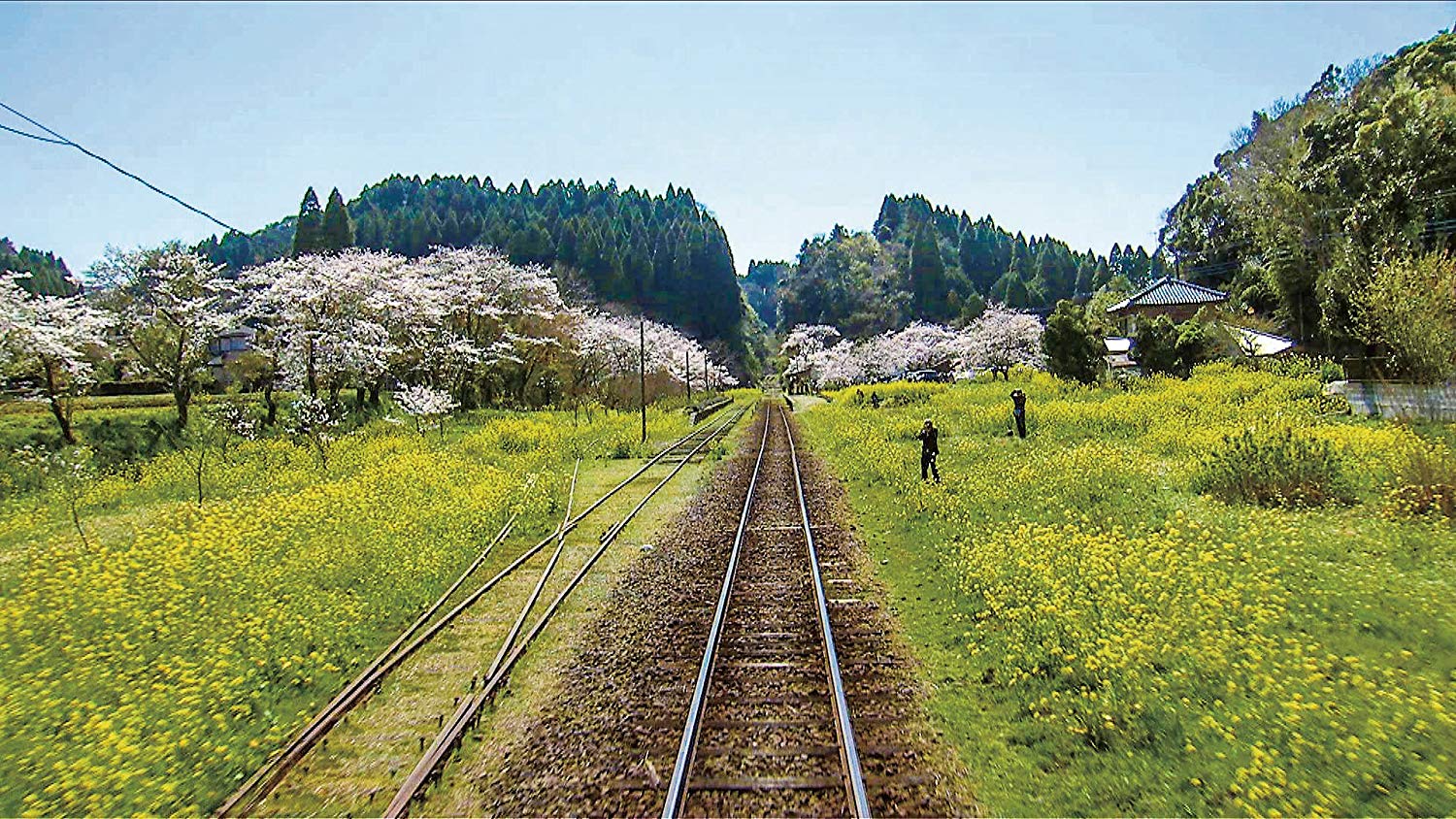 春の小湊鉄道 全線往復 上総中野～五井～上総中野【ブルーレイ