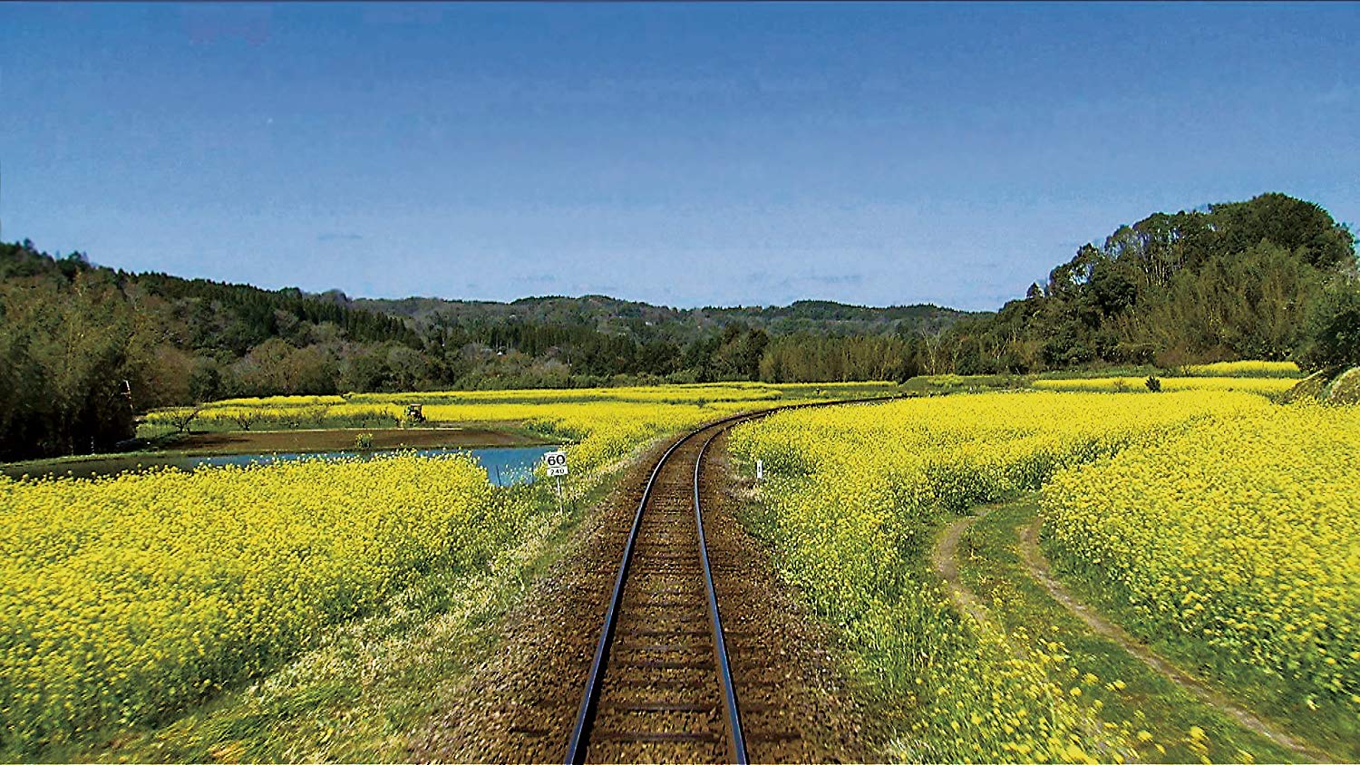 (未使用･未開封品)　春の小湊鉄道 全線往復  df5ndr3 春の小湊鉄道 全線往復 上総中野～五井～上総中野【ブルーレイ