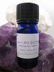 �桼���ꡡ�饸�������������ޥ�����������ˡ�3ml