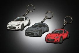Always ROADSTER��ND RF��С������ۥ����