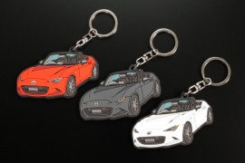 Always ROADSTER��ND��С������ۥ����