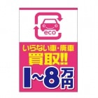 ��Ź��ݥ��������Ѽ֡����1��8����(D/C5602)