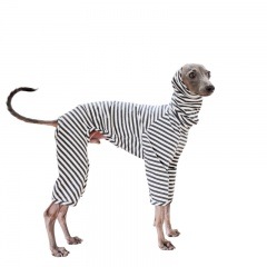 ŷܡ˥åȡ٤룳סߣ顼ʥ١/ͥӡ/쥤/С/֥饦