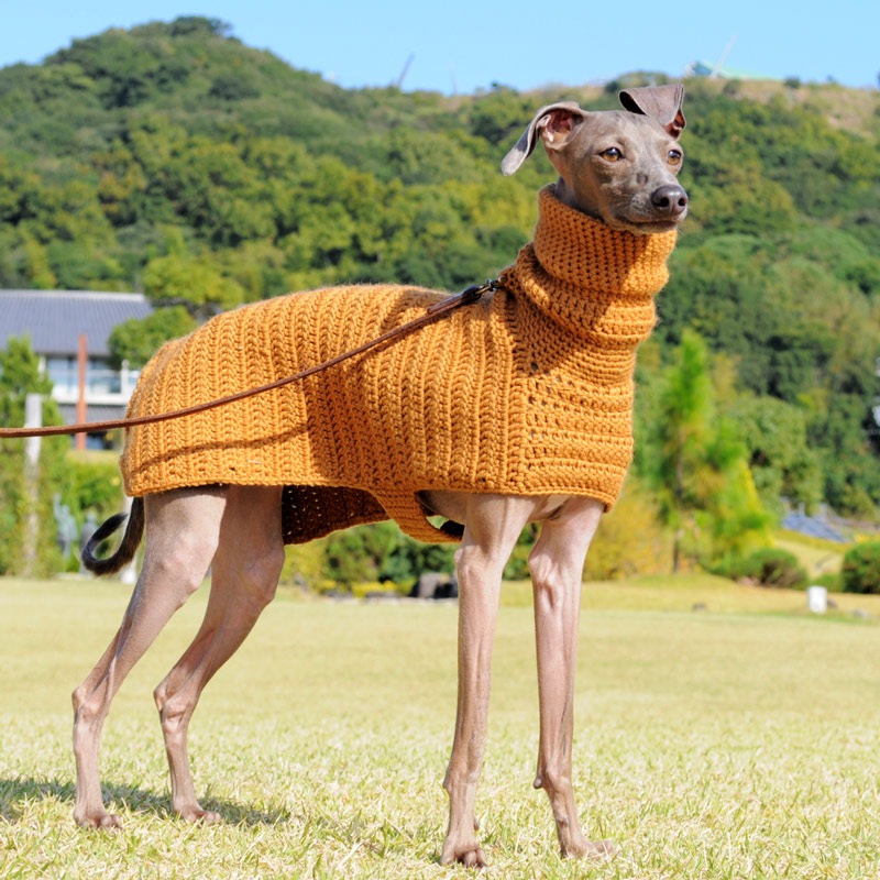 ピムリコ　イタグレポンチョ　ＩＭ イタグレポンチョ｜ウール100%の毛糸を編んだ手作りのPoncho